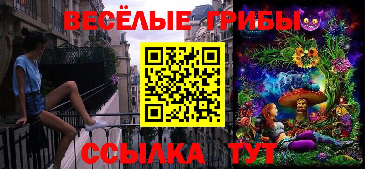Галлюциногенные грибы MAGIC MUSHROOMS Каменск-Уральский