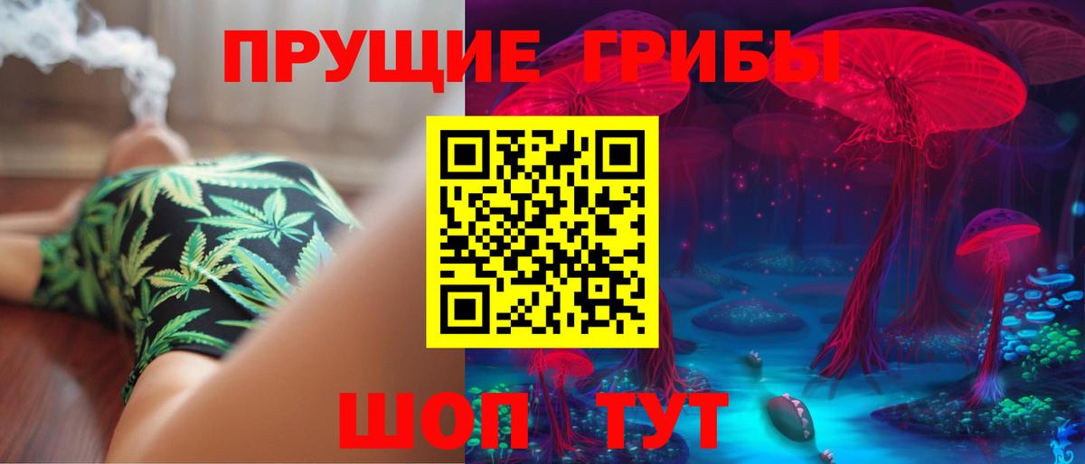 Каменск-Уральский  Галлюциногенные грибы прущие грибы  Вход с VPN 